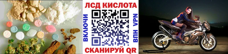 ЛСД экстази ecstasy  цены   Губкин 
