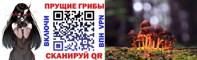 Псилоцибиновые грибы GOLDEN TEACHER  хочу наркоту  Губкин 