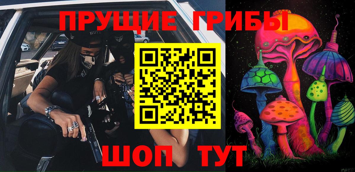 Псилоцибиновые грибы Cubensis Губкин