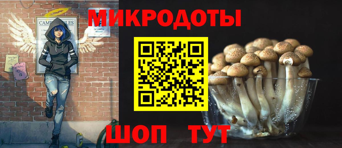 Губкин  Псилоцибиновые грибы GOLDEN TEACHER  купить наркотики сайты  Вход с VPN 